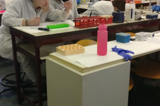 Laboratori UNIPV febbraio 2019