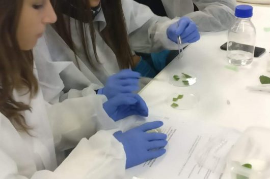 19-10-2018 I ragazzi del Liceo Santachiara alla Settimana della Scienza