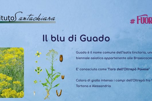 Il Blu di Gualdo