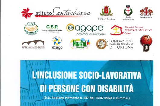 Progetti per l’inclusione socio-lavorativa di persone con disabilità – 2024.2025